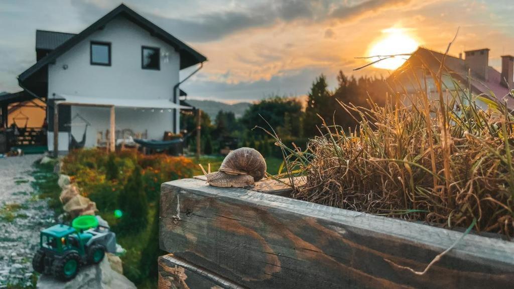 Appartamento Magiczny Przystanek Myczków Esterno foto